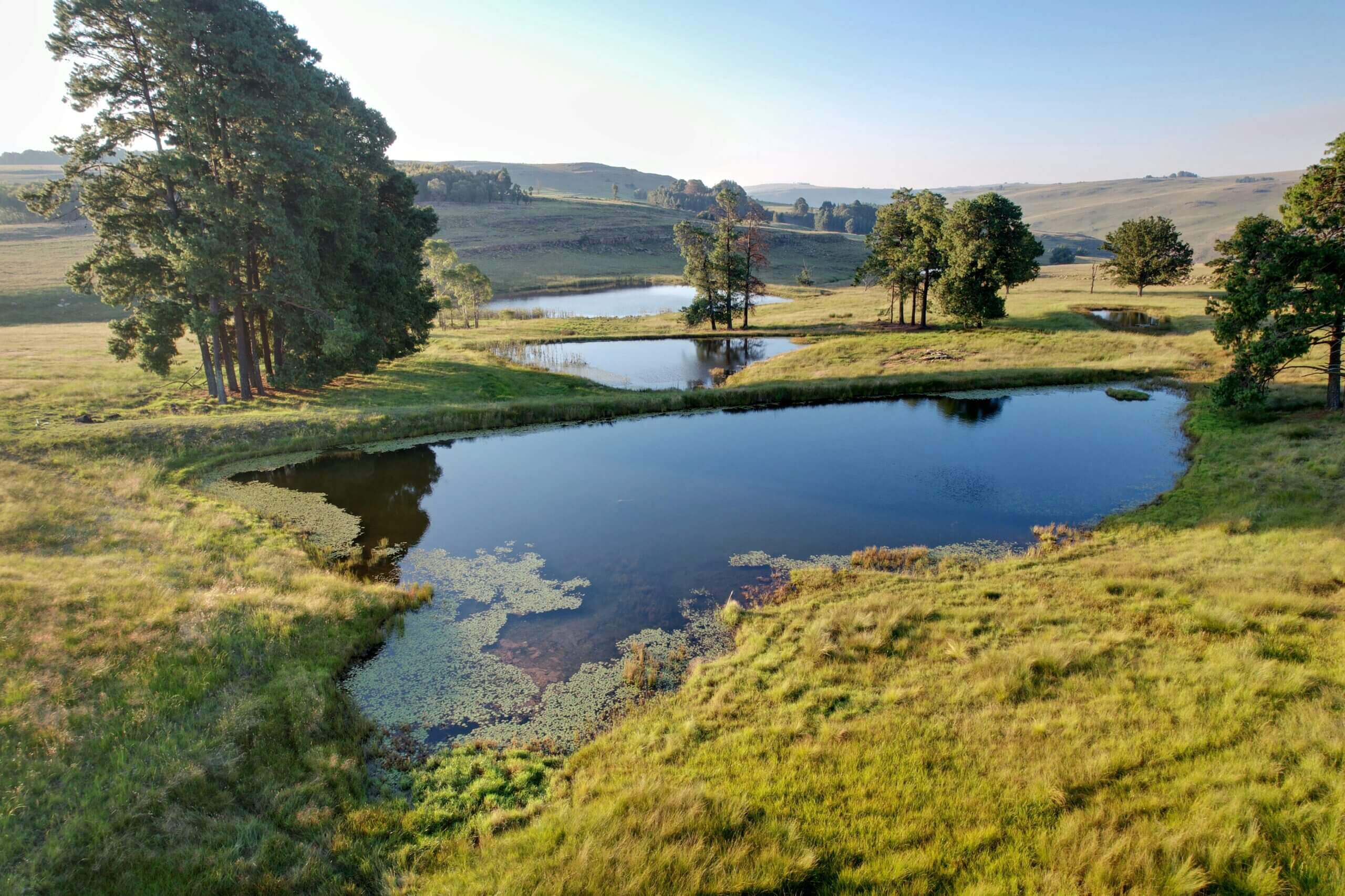 ponds at uitvlugt ponds in dullstroom